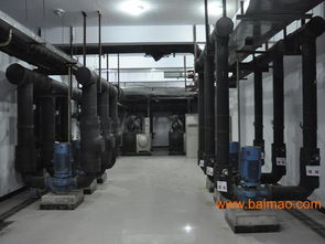 一流的集中式空調(diào)維護保養(yǎng) 要找可靠的中央空調(diào)系統(tǒng)維護保養(yǎng),競創(chuàng)機電設(shè)備公司,一流的集中式空調(diào)維護保養(yǎng) 要找可靠的中央空調(diào)系統(tǒng)維護保養(yǎng),競創(chuàng)機電設(shè)備公司生產(chǎn)廠家